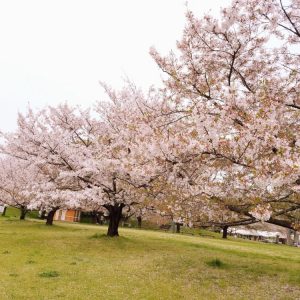 ☆建売現場進捗状況☆